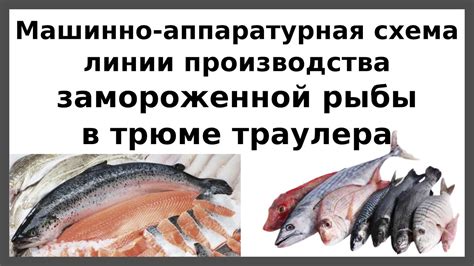 Безопасность пищевого продукта: необходимость промывки замороженной рыбы