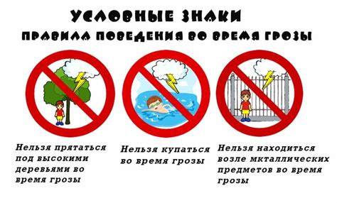 Безопасность при работы в лесу во время дождя