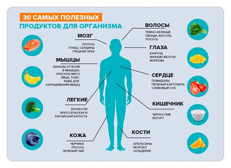 Безумно важные компоненты для поддержания нормального функционирования организма