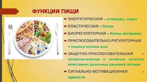 Белки и их значение в питании перед тренировками