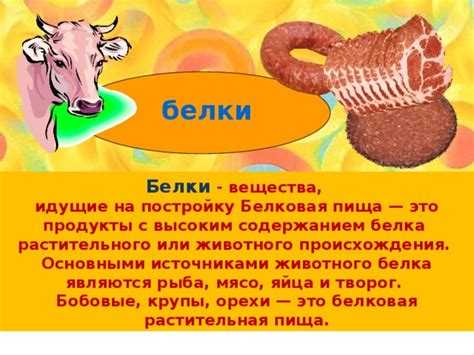 Белковая пища: мясо, рыба и молочные продукты