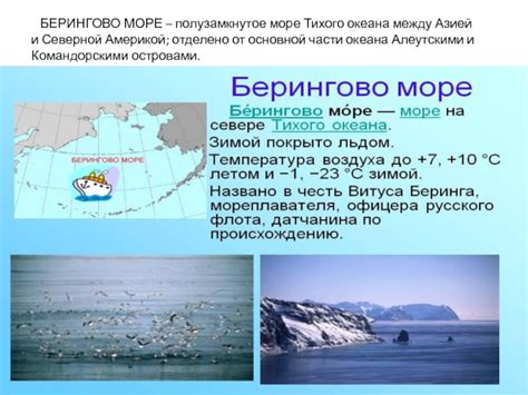 Берингово море: точка соприкосновения между Азией и Америкой