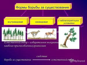 Биологическая борьба: помощник в сохранении здоровья картофельных посевов