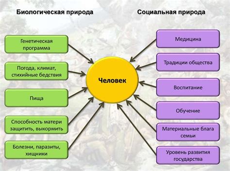 Биологическая сущность жизни: исследования и новые открытия