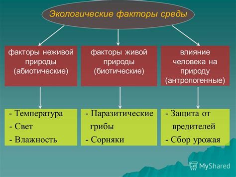 Биологические факторы угрозы: влияние паразитических организмов и заболеваний на клевер