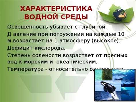 Биологические феномены при замерзании водной среды на берегах