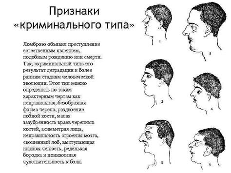 Биологический подход к объяснению