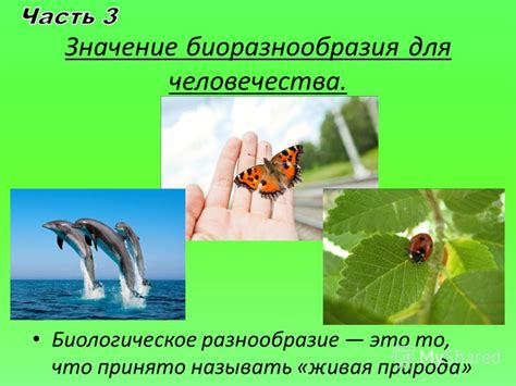 Биологическое значение Иртыша для природы и биоразнообразия