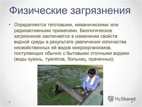 Биологическое преобразование водной среды для безопасного использования
