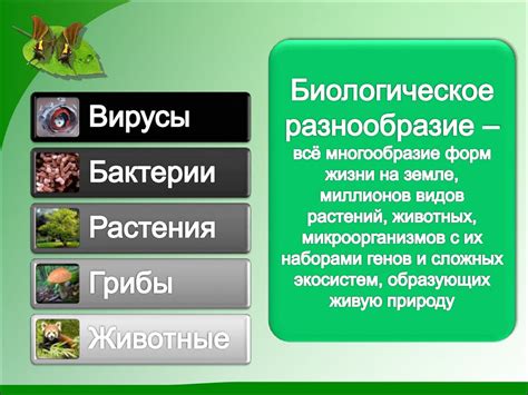 Биологическое разнообразие и его уникальность