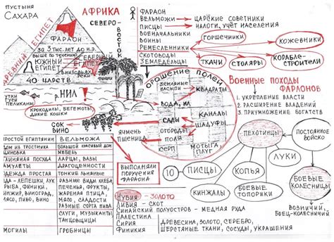 Биология: ключ к пониманию исторического прошлого