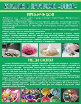 Биология в профессии: спектр применения в различных областях