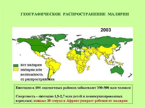 Биоразнообразие и географическое распространение бамбука в Дальневосточном регионе