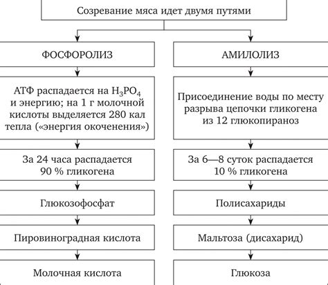 Биохимические процессы как основа гармоничного функционирования организма