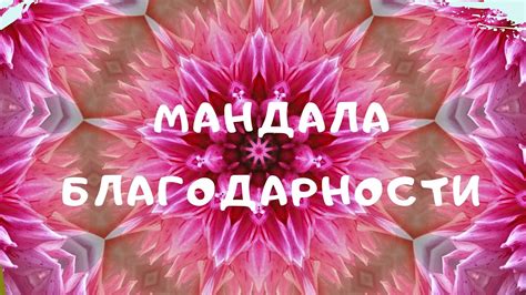 Благодарность: сила, которая приносит пользу нам и нашему окружению