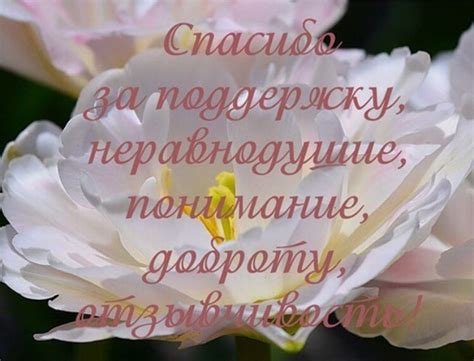 Благодарность за веру в мои возможности тогда, когда самому не верил
