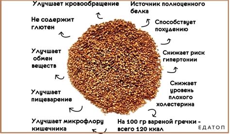 Благоприятное воздействие гречки на вес и аппетит