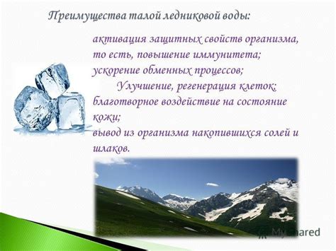 Благотворное воздействие хурмы на улучшение состояния при язве