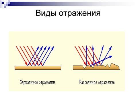 Блики в природе: отражение света и создание волшебства