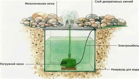 Блистательные пруды: яркий жизненный простор для королей водоемов