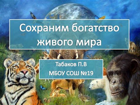 Богатство живого мира в области истока потока Северной Двины