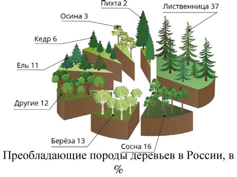 Богатство животного и растительного мира региона и его уникальные представители