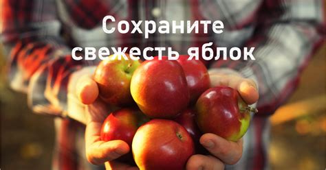 Богатство и питательность натурального продукта