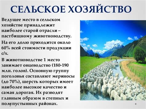 Богатство натуральной продукции в наиболее природных районах страны