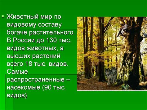 Богатство окружающей природы Никарагуа: растительный и животный мир