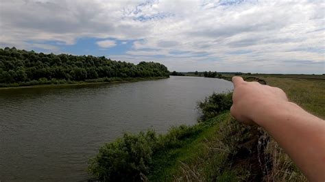 Богатство природы вдоль путешествия по реке Свияга: флора, фауна и экологические вызовы