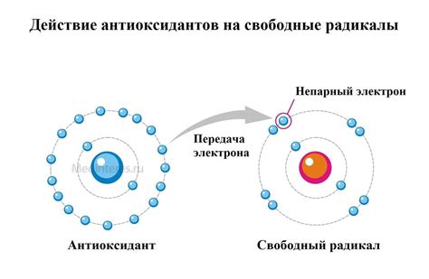 Богатый источник антиоксидантов: защита клеток от свободных радикалов