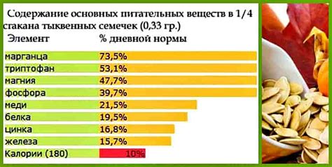 Богатый состав семечек тыквы: необходимые для здоровья свинок витамины и минералы