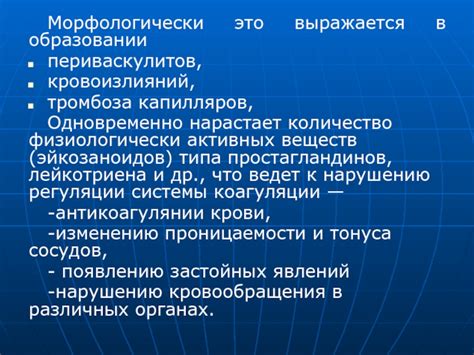 Большее количество физиологически активных веществ в комплексе