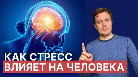 Борьба со стрессом: как его воздействие влияет на защитную реакцию организма