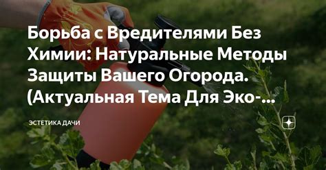 Борьба с вредителями и болезнями магнолий