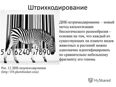 Будущие перспективы изучения генетического разнообразия в разведении животных