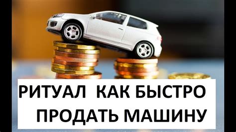 Бюджетный вариант или эксклюзивная модель: как не переплатить и получить лучшее