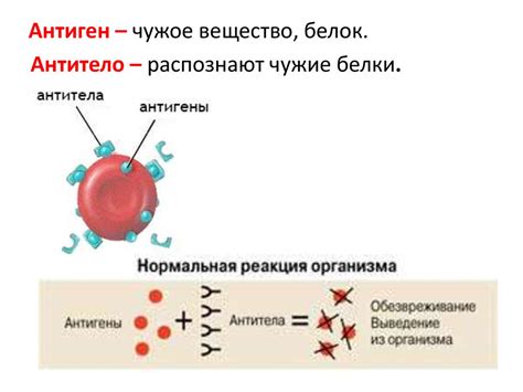 ВИЧ 1 и 2 антиген и антитела