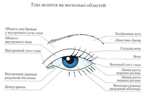 Важная роль внутреннего угла глаза