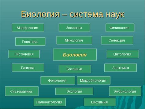 Важная роль колючек в биологической системе