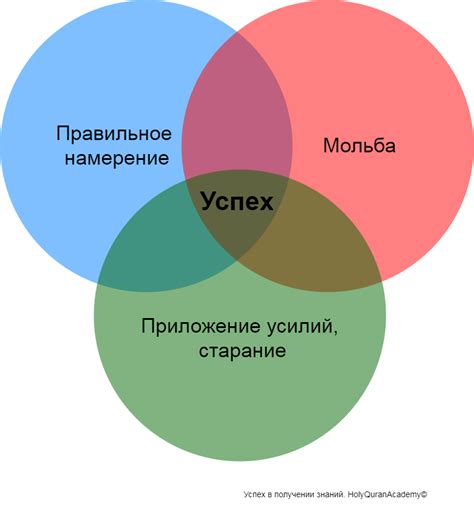 Важная связь между образованием и опытом: главные факторы успеха