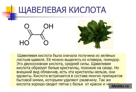 Важное применение щавелевой кислоты в области косметологии