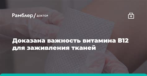 Важность витамина B для организма взрослого человека