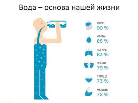 Важность воды для здоровья сосудов и кровообращения