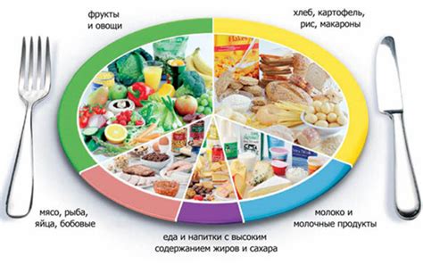 Важность выбора правильного источника белка для улучшения состояния при сахарном диабете