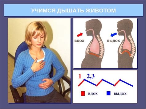 Важность грамотного дыхания при флюорографическом обследовании
