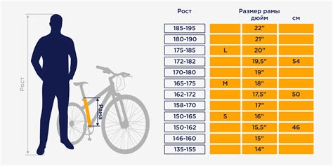 Важность корректной настройки велосипеда с учетом роста ребенка