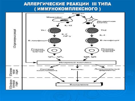 Важность лабораторной диагностики при обнаружении заболеваний и постановке лечения