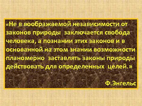 Важность материализма в познании природы человека