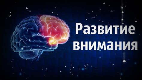 Важность нервной системы для развития памяти и концентрации внимания